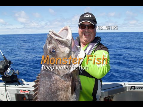 Deep Water Action! Targeting Hapuku & Bluenose (Monster Fish)