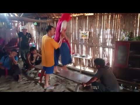 ua neeb xa vis 26/6/024