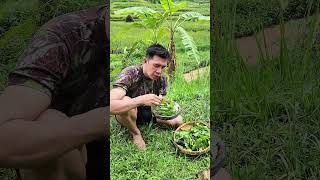 Download lagu mencari daun sintrong di ladang. #cooking #food #kulinernusantara #daunsintrong mp3 Download lagu mencari daun sintrong di ladang. #cooking #food #kulinernusantara #daunsintrong mp3