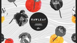 RAWLEAF - Flowerhead