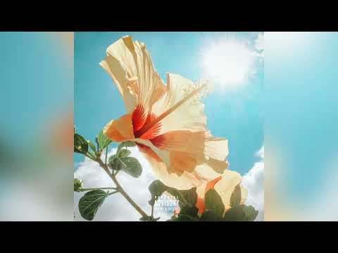 Alex Dicconson - Vibin'