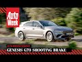 Genesis G70 Shooting Brake - Auto-immigratiedienst