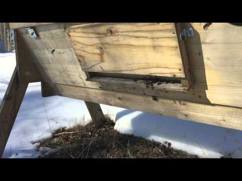 Rensningsflygning i mitten på mars