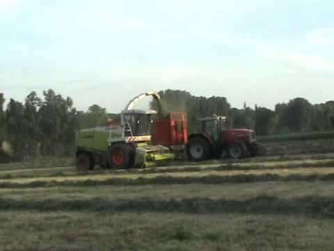 Loonw. Willen F - Oudenaarde