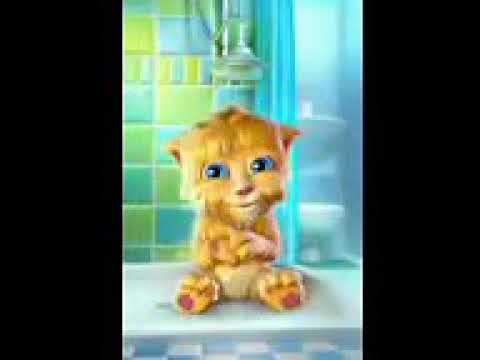 Good morning from talking ginger cat