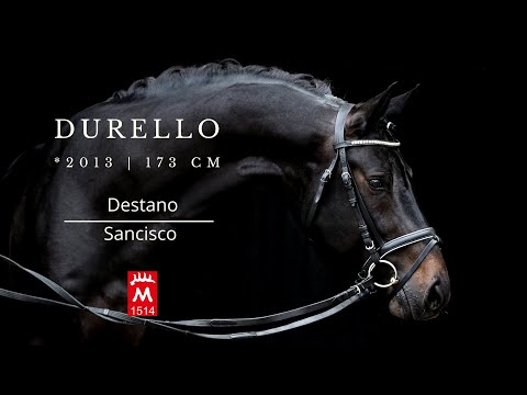 DURELLO *2019 v. EH Destano - EH Sancisco