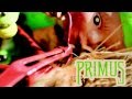 Primus "Green Naugahyde" Album Preview 