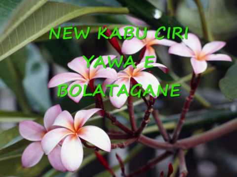 New Kabu Ciri Yawa E Bolatagane