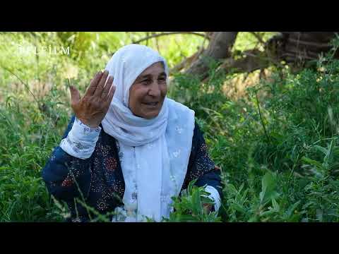 AWAZÊN ZÊRÎN - DENGBÊJ FADÎLE