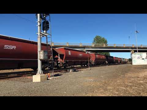 L277, GM22 & B61 empty SSR Grain