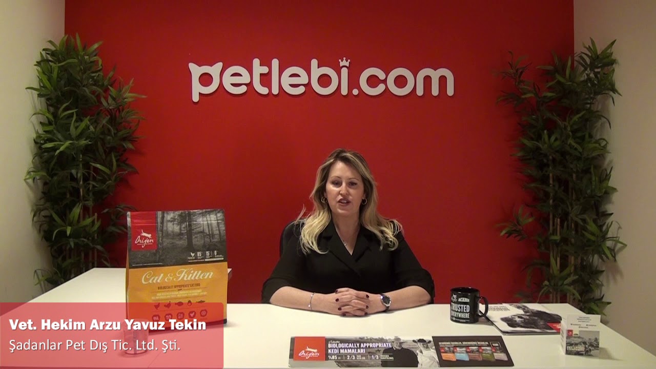 Orijen Original Cat Yavru ve Yetişkin Kedi Maması 1,8kg tanıtım video görseli