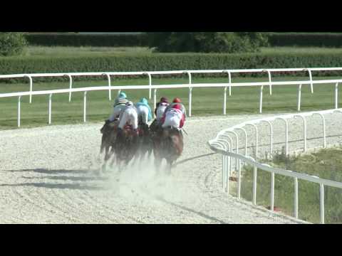 2017.06.11. 7. futam - PUSZTA-DIÓSI HENDIKEP (V/b.) (szintetikus pálya)