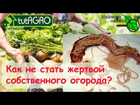 ПАРАЗИТЫ В ОГОРОДЕ. Как не стать жертвой собственного огорода? Глисты вокруг нас!