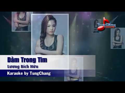 Dằm Trong Tim | Beat Gốc Karaoke | Lương Bích Hữu