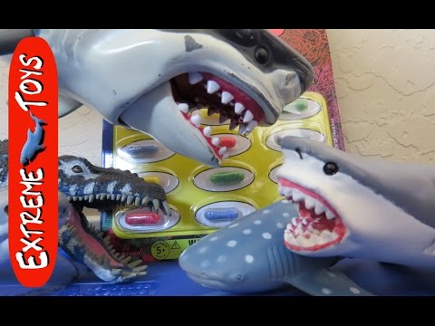 Shark Toys help open Surprise Sea Animal Capsule Toys!