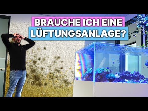 Central vs. Decentralized Ventilation System - What does my house need?