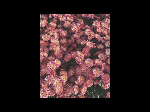 [FREE] 93feetofsmoke x drippin so pretty x fats'e type beat | "green"