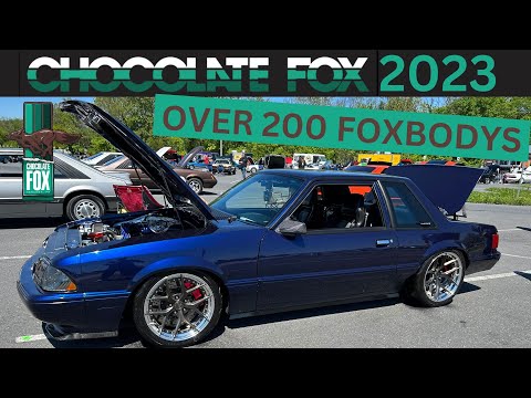 CHOCOLATE FOX 2023 AMAZING FOXBODYS AND AWSOME PEOPLE