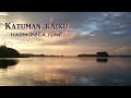 Turisas: Katuman kaiku (Harmonica tune)
