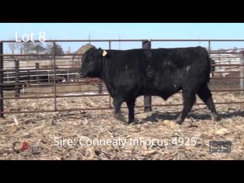 download lagu mp3 mp4 Leachman Right Time, download lagu Leachman Right Time gratis, unduh video klip Leachman Right Time