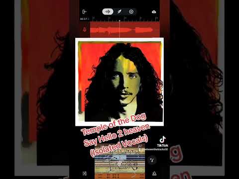 Temple of the Dog - Say hello 2 heaven (Isolated Vocals) #isolatedvocals #chriscornell