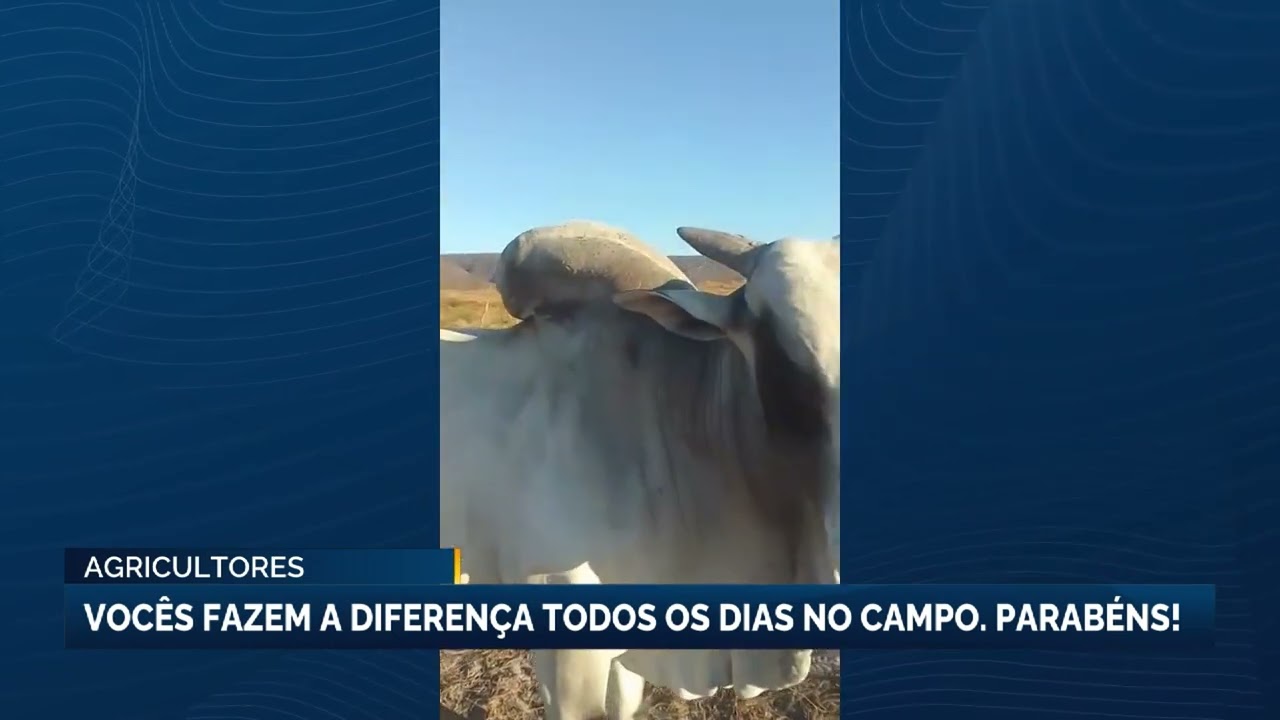 Dia do Agricultor celebra quem move o agro brasileiro