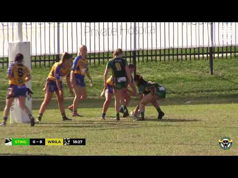 2019 Group 7 LLT Division 2 Round 8 Highlights - Stingrays of Shellharbour vs Warilla-Lake South