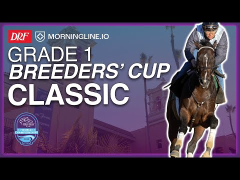 G1 Breeders' Cup Classic | Picks & Analysis with Sovereignty Out | DRF Saturday Race of the Day