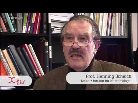 X:enius: Nichtstun Macht uns das leistungsfähiger? Doku (2013)