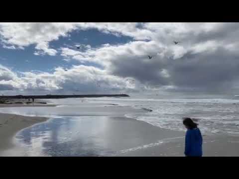 Del Mar Beach Military Ca The Dyrt