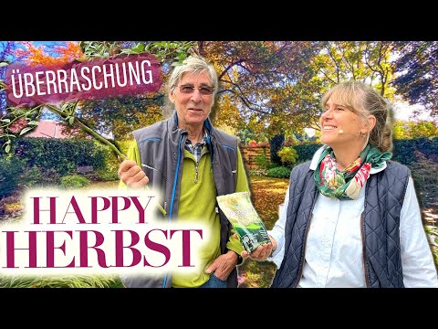 IS IT WORTH transplanting established ROSES? 🍁 + Handicraft decoration tip: Rosehip bouquet wreath