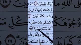 Download lagu begini cara baca Alquran paling mudah khusus pemula dan lansia #ngaji #quran #alquran #pemula #iqro mp3