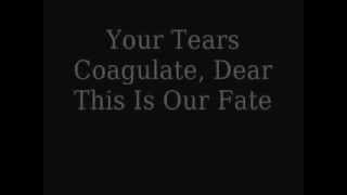 Hallelujah--Fit For Rivals Lyrics