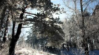 Truth of Touch Yanni