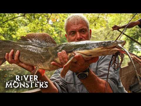 River Monsters Full Episode - Season 2, Episode 6 - Congo Killer