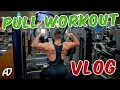 PULL WORKOUT VLOG | PHYSIQUE UPDATE | CAR WASH