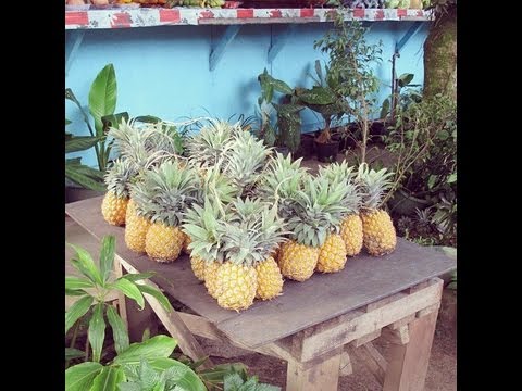 BMR is Back ft. Pooh Sauce