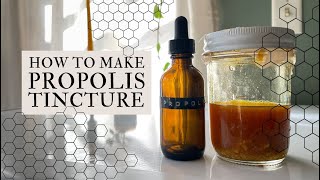 How To Make Propolis Tincture, Easy At Home Herbalism