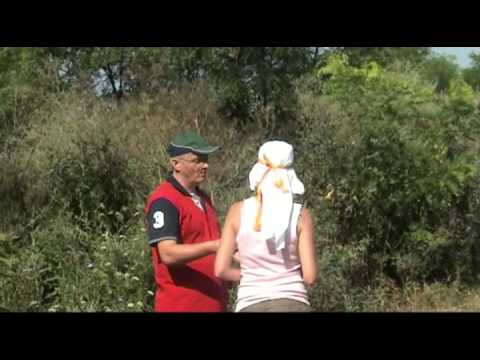 Bijbelverhaal Het Koninklijke Bruiloftsmaal