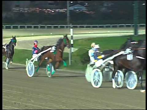 Trotto 01/12/2015 - 7° corsa