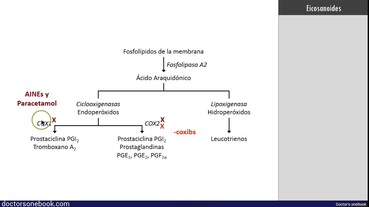 Antiinflamatorios No Esteroideos y Paracetamol