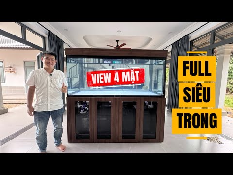 Bàn giao hồ 4 mặt siêu trong 200tr cho khách