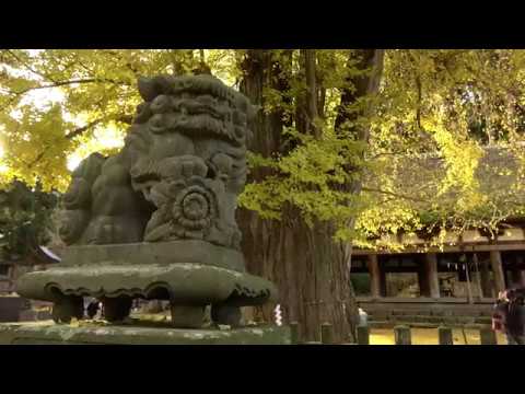新宮熊野神社長床 （喜多方市）