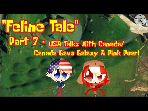 "Feline Tale" Part 7 - USA Talks With Canada/Canada Gave USA A Pink Pearl