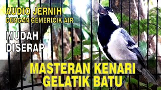Download lagu Masteran kenari paud mudah diserap | GELATIK BATU | Ampuh dengan suara gemericik air mp3