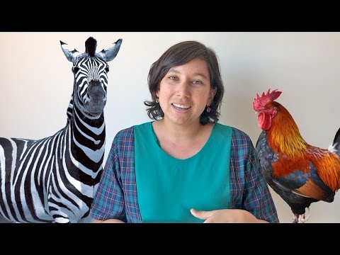 2º Básico 2017 Inglés: Presentación "An interesting animal"