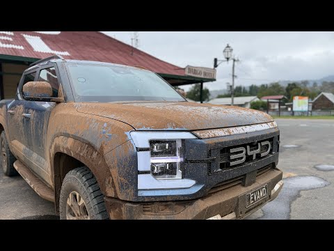 BYD Shark 6 Takes on Victoria iconic 4WD Blue Rag Track Off-Road Test!