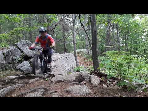 180603 - Bucking the WDN :)