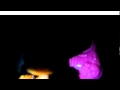 LPS модная девочка 1 серия=) 