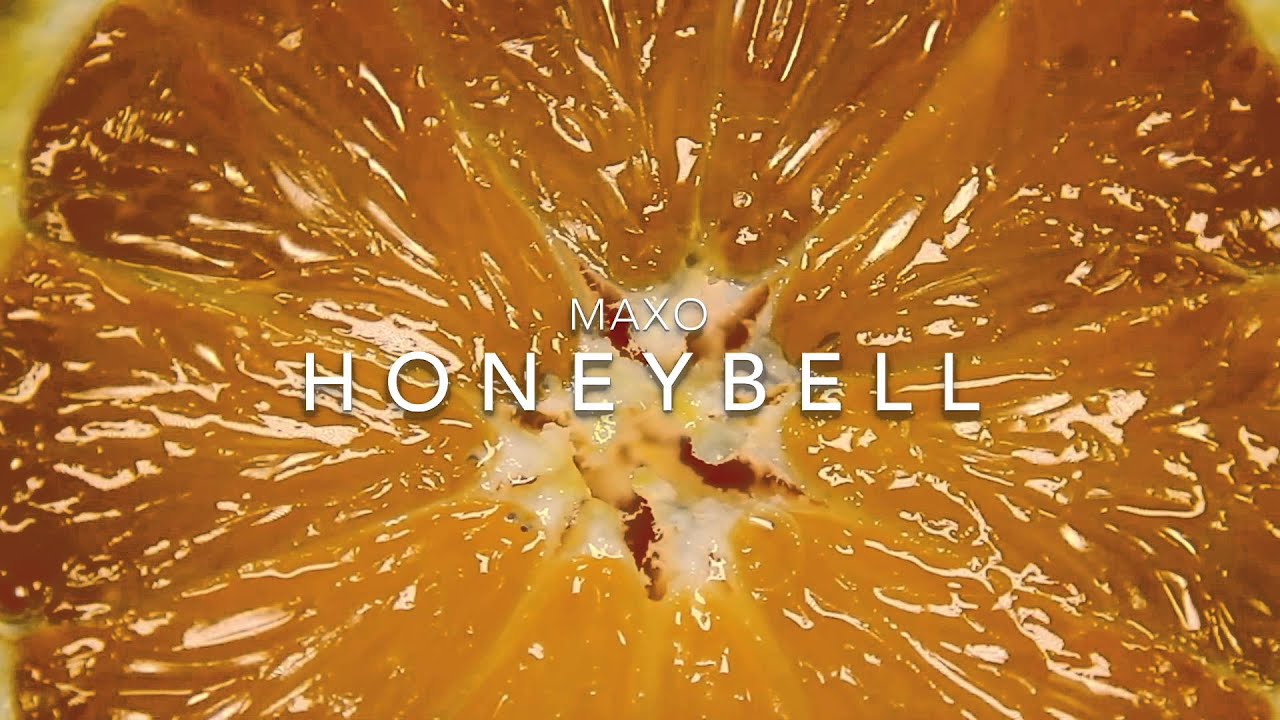 Honeybell